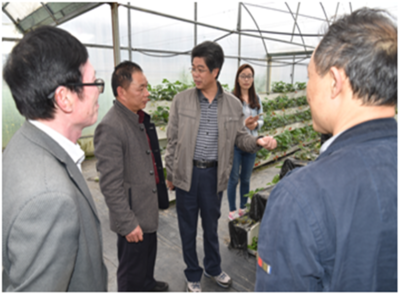 深耕產業一線，助力鄉村振興——園藝學院教工第二黨支部赴周寧、政和開展黨員活動日活動